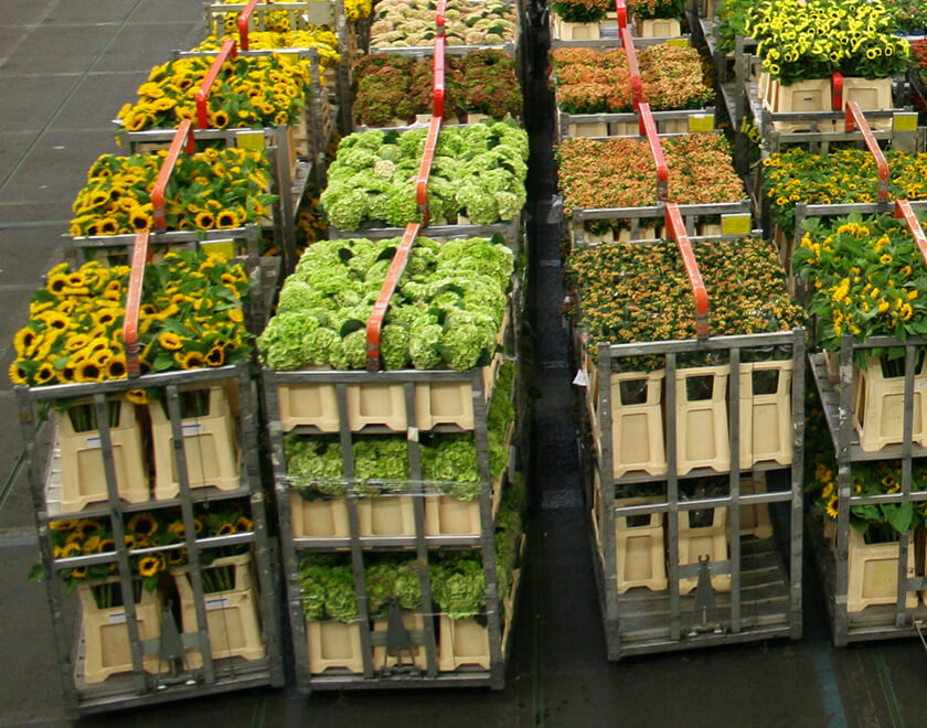 Schnittblumen in einer Halle